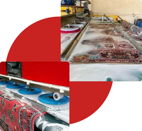 Group 20مراحل شستشو (18)