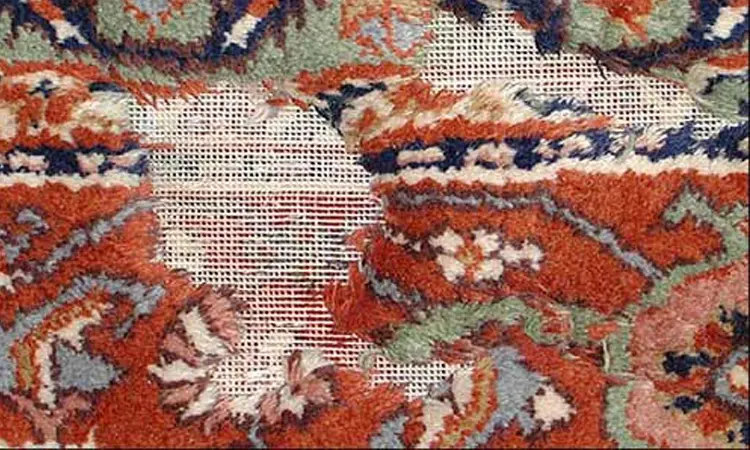 ترمیم فرش ملاصدرا